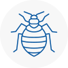 Bed Bug Extermination In Haringey