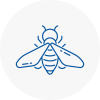 Bee Nest Removal Haringey