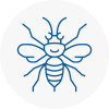 Haringey Hornet Nest Removals