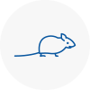 Mice Exterminators In Haringey