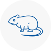 Rat Control Haringey