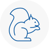 Haringey Rodent Removals
