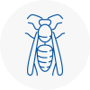 Haringey Wasp Nest Removal